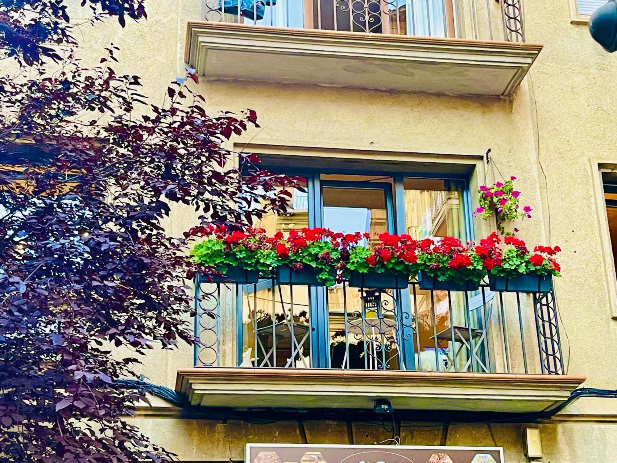 Appartamento Cal Querol 1 - Centre Puigcerdà Esterno foto